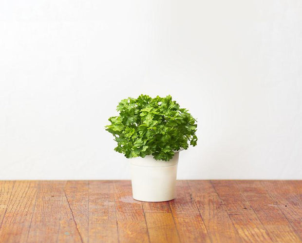 Click & Grow | Plant Pods