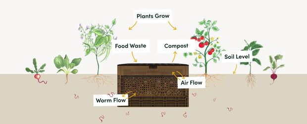 Subpod - Eco-friendly Smell-free In-Garden Waste Food Compost System